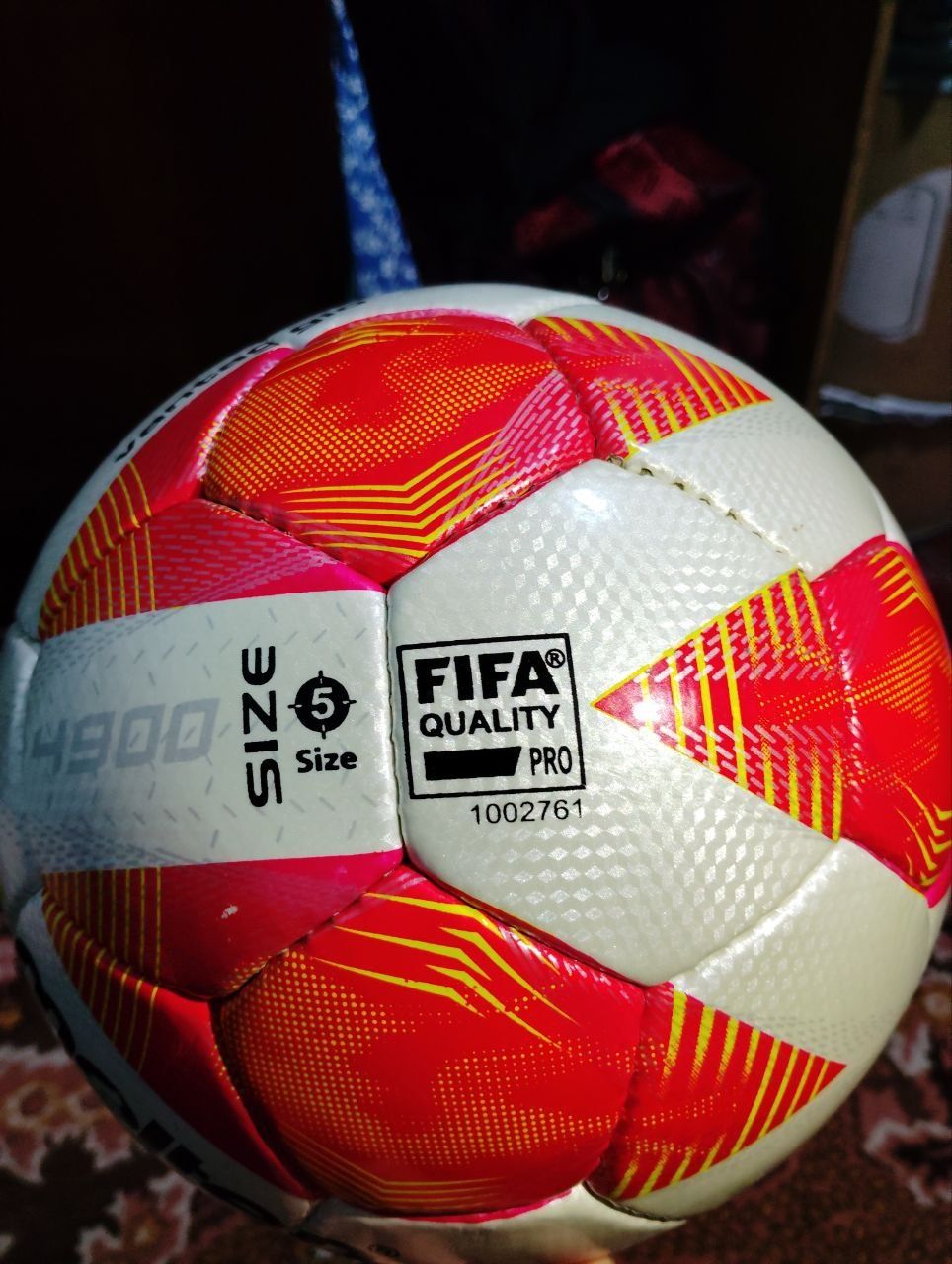 Futbol koptogi germaniyaniki