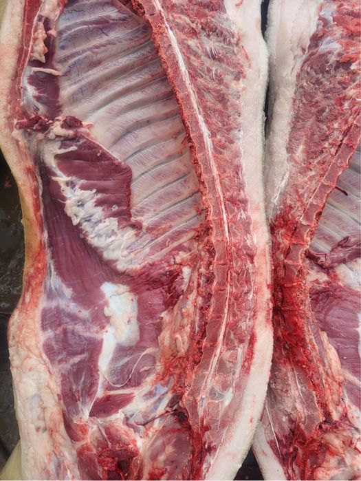 Домашнее мясо свинины