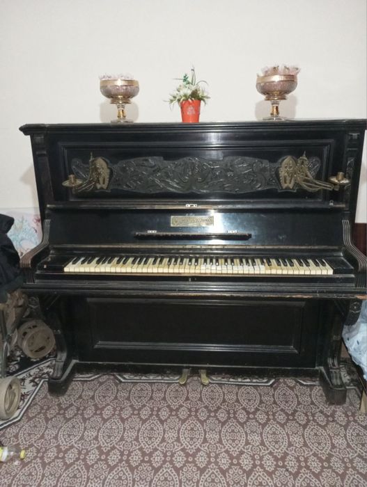 Pieanina qadimgii klaviwii fillii sueagidan qilingan 1898 eil Sank pet