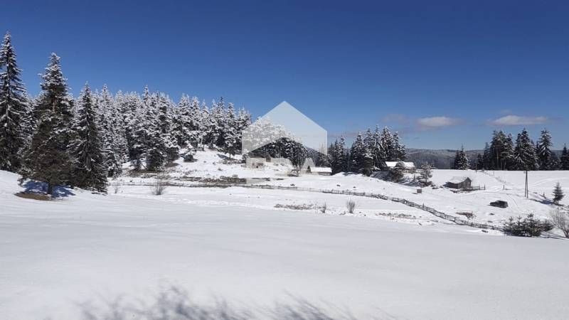 Парцел близо до язовир Доспат-  природа, чист въздух и гледка към Родо