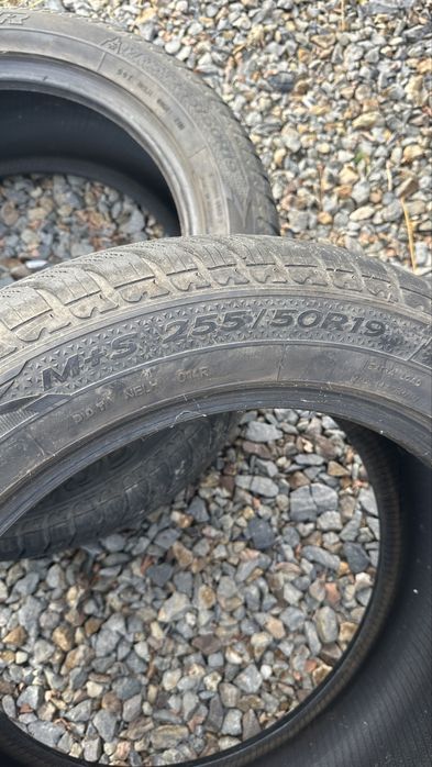 Cauciucuri de iarna 225/50 R19