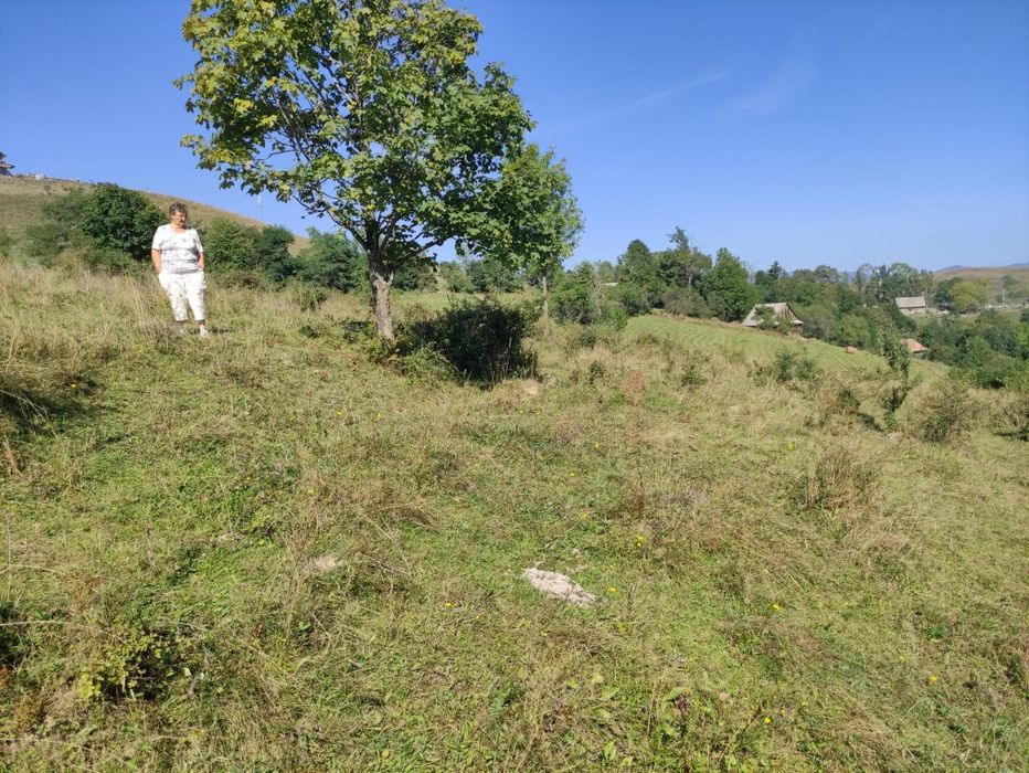 Se vinde teren în Ponor, județul Alba