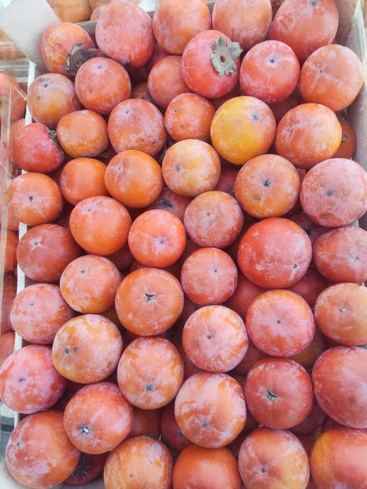 Xurmo sotiladi xar xil sortidan bor