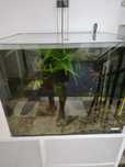 Acvariu Dennerle Nano Scapers Tank 55 l
