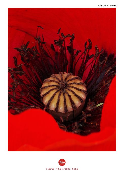 Xiaomi 15 Ultra 16GB/512GB