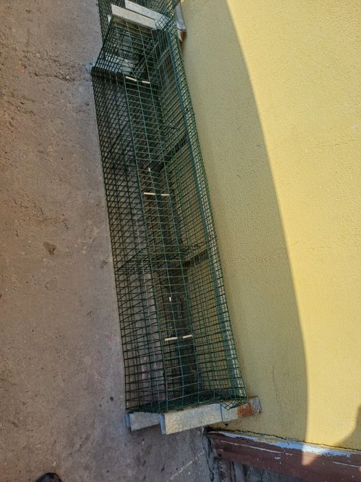 Oferta Cusca Prepelite!
