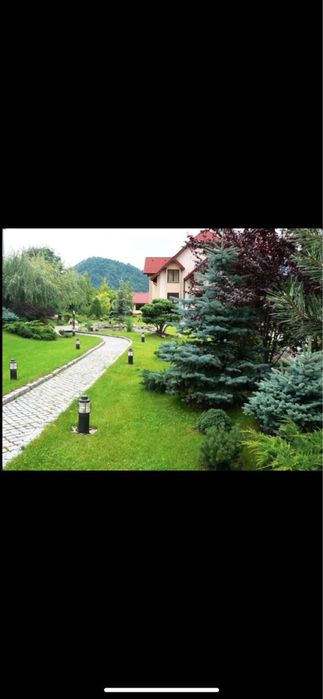 Amenajari gradini , gazon rulou&plante