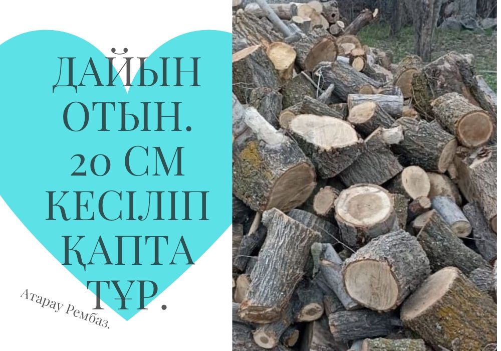 Заготовлини дрова- Дайын отын,керемет жылу.