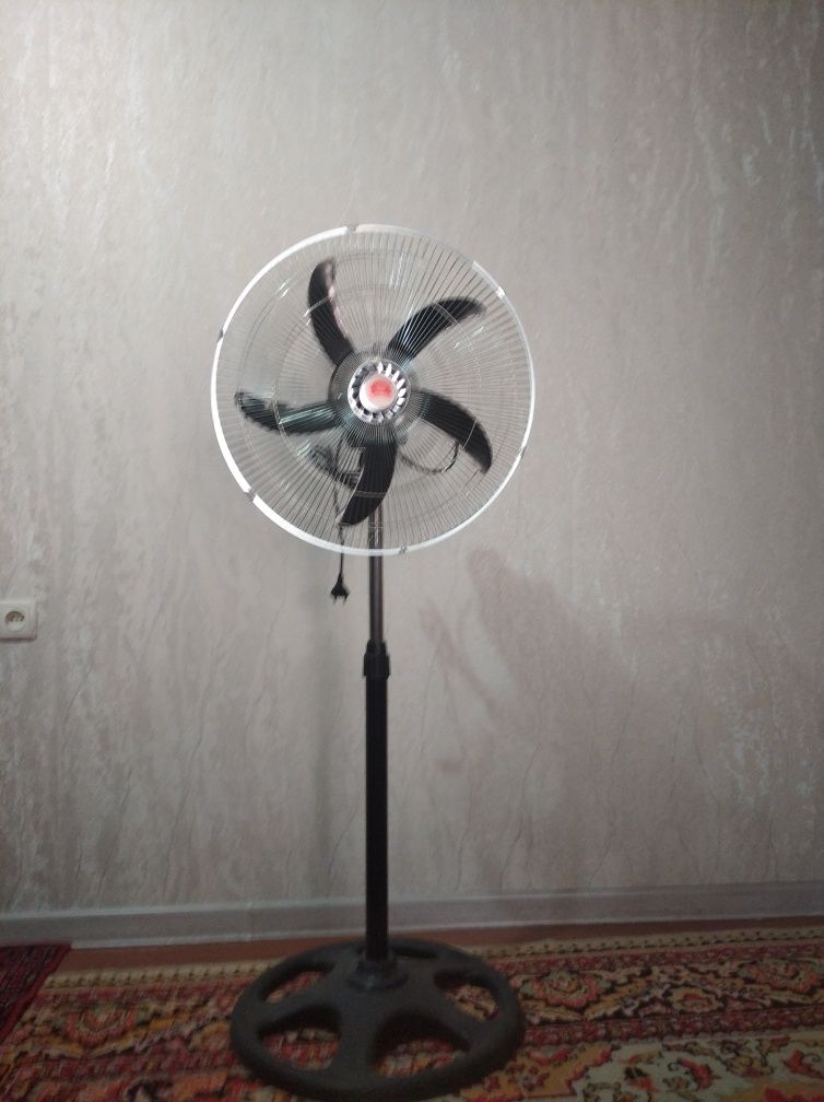 vintlatir  temir pareli