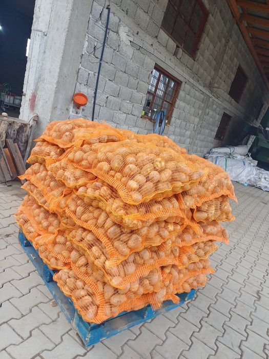 Cartofi de consum si de animale