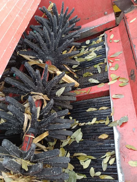 Culegătoare porumb berko