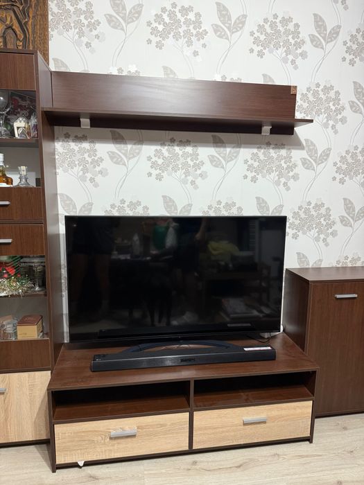 Холна секция Виденов