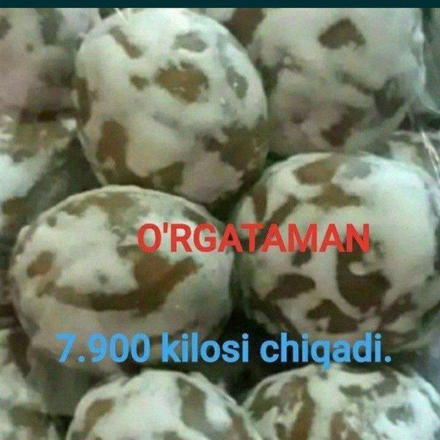 Pryanik mogorlamaydi beti erimaydi bir oy yumshoq turadi