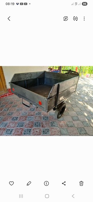 Муравей в хорошем состоянии