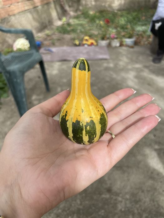 Декоративни кратунки