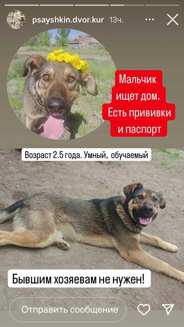 Мальчишка ищет дом