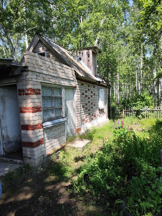 Продам Дачу в Новопавловке в лесу