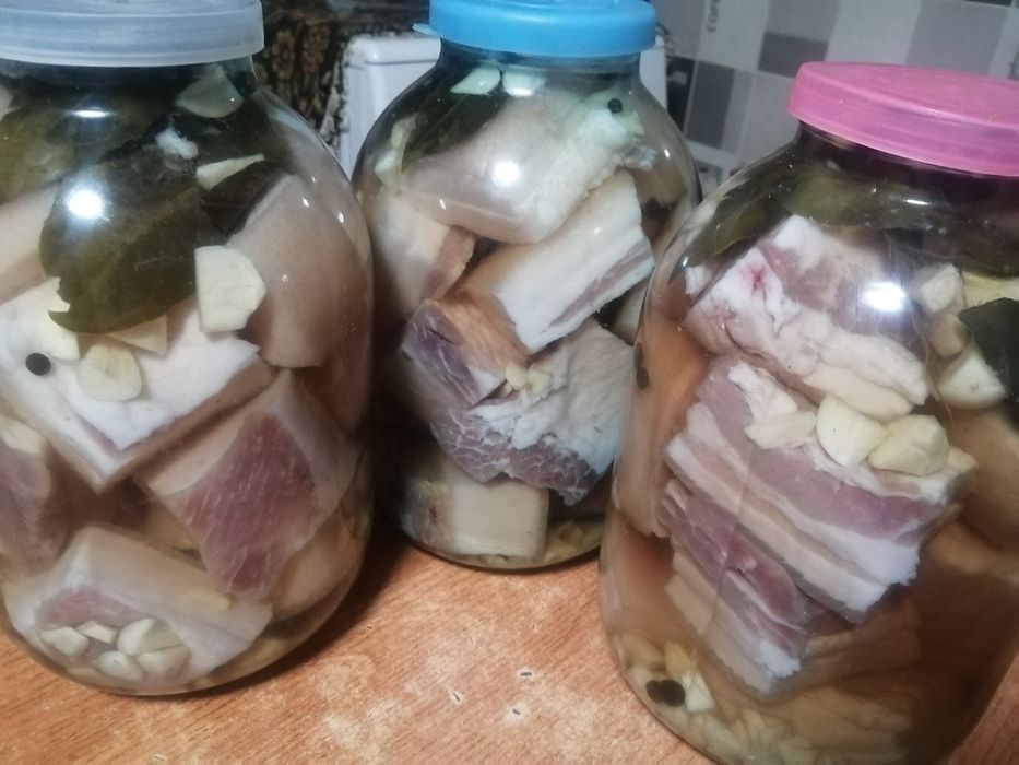 Продам сало в рассоле