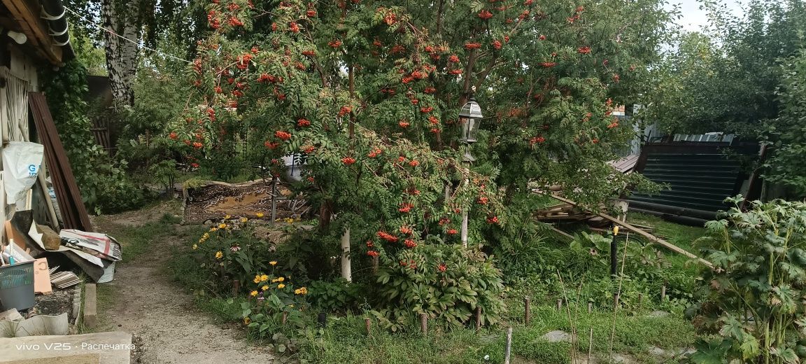 Продам зимнюю дачу в городе