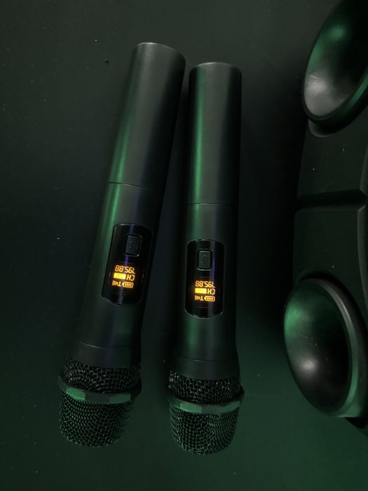 Колонка с микрофоном