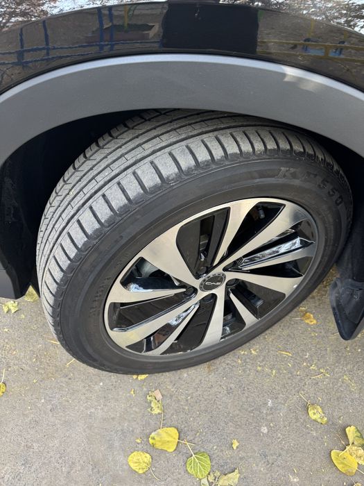 Byd chenpiyon giprit 110 tali 2024 yil