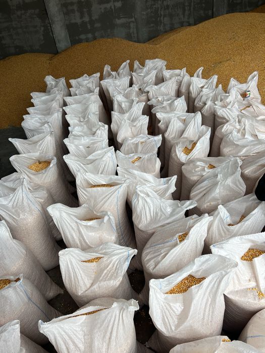 Vand Porumb Boabe Sticlos