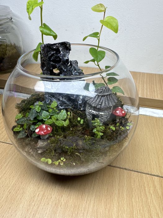 Продам флорариум,со мхом открытый!