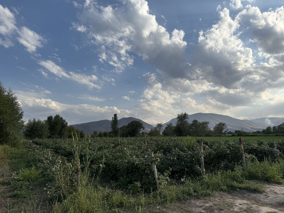 Продаётся земля.