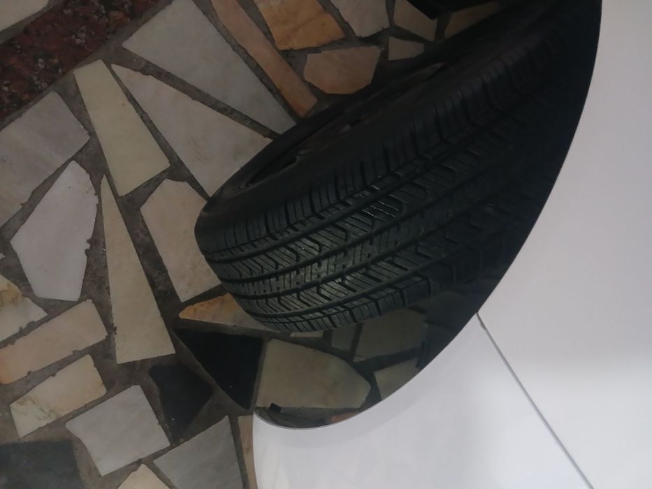 Arenda vekub berelade