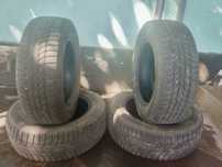 Шина зимний Трианжел 195/65R15
