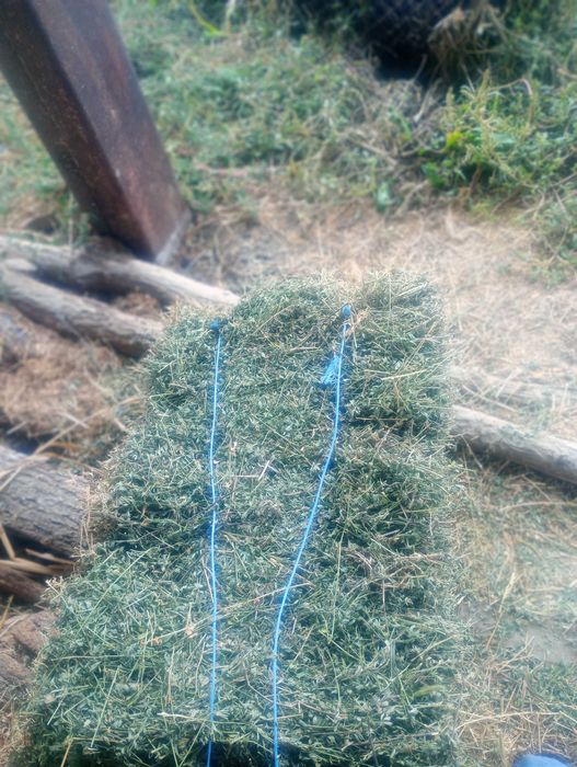 Vând baloți lucernă 25 lei bucata