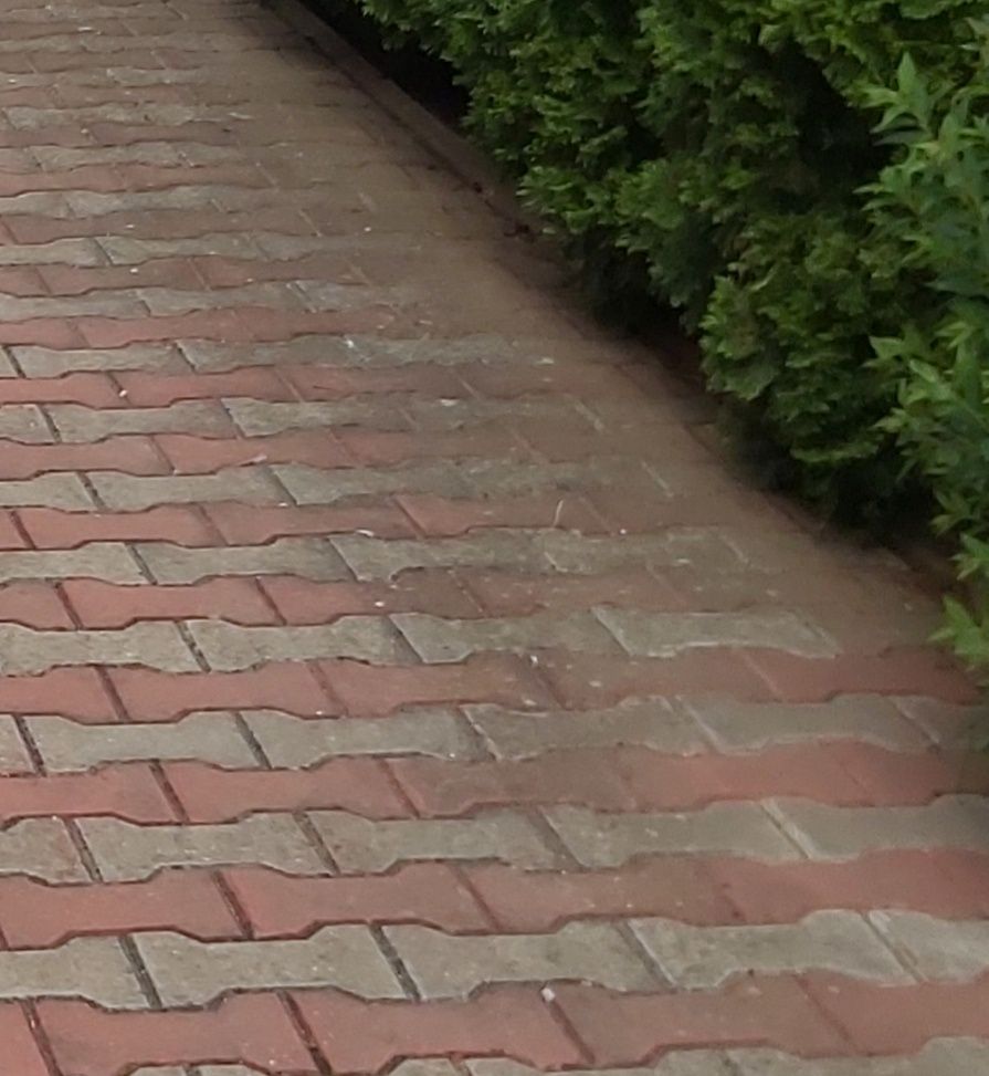 Spalare Pavaje Restaurari Fatade Acoperis suprafete exterioare orice t