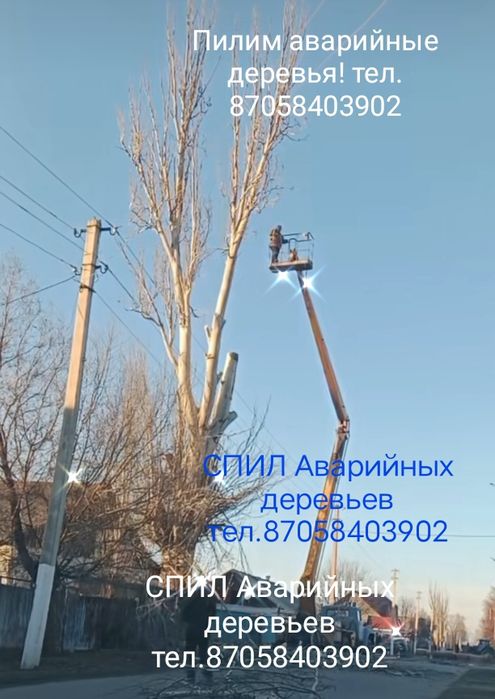 Пилим аварийные деревья!