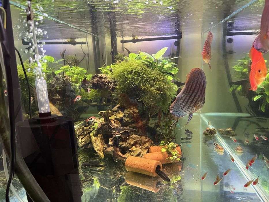 Аквариум 420 литра с метална стойка