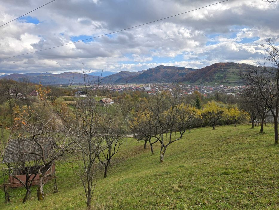 Vand teren livada viseu de jos