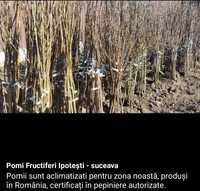 Pomi fructiferi altoiti