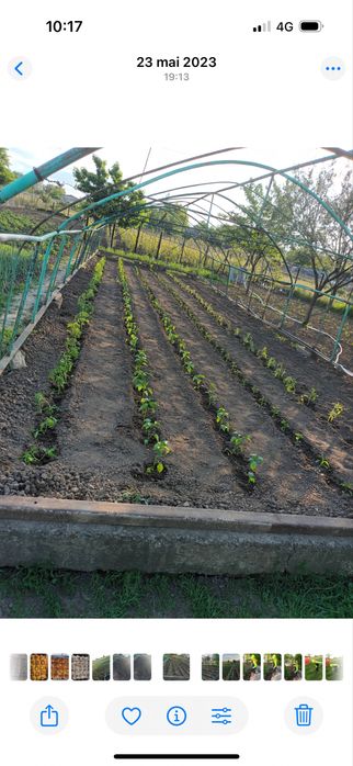 Solar din fier si teava solida