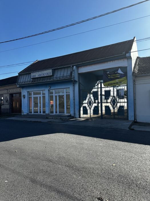 Casa/spatiu comercial  Moldova Noua str Unirii