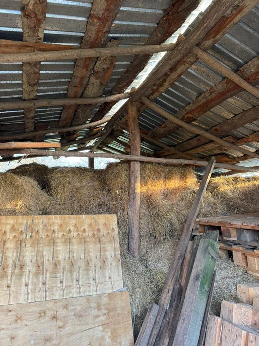 Baloti fan amestecat cu lucernă