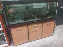 Vand acvariu 450 l complet .
