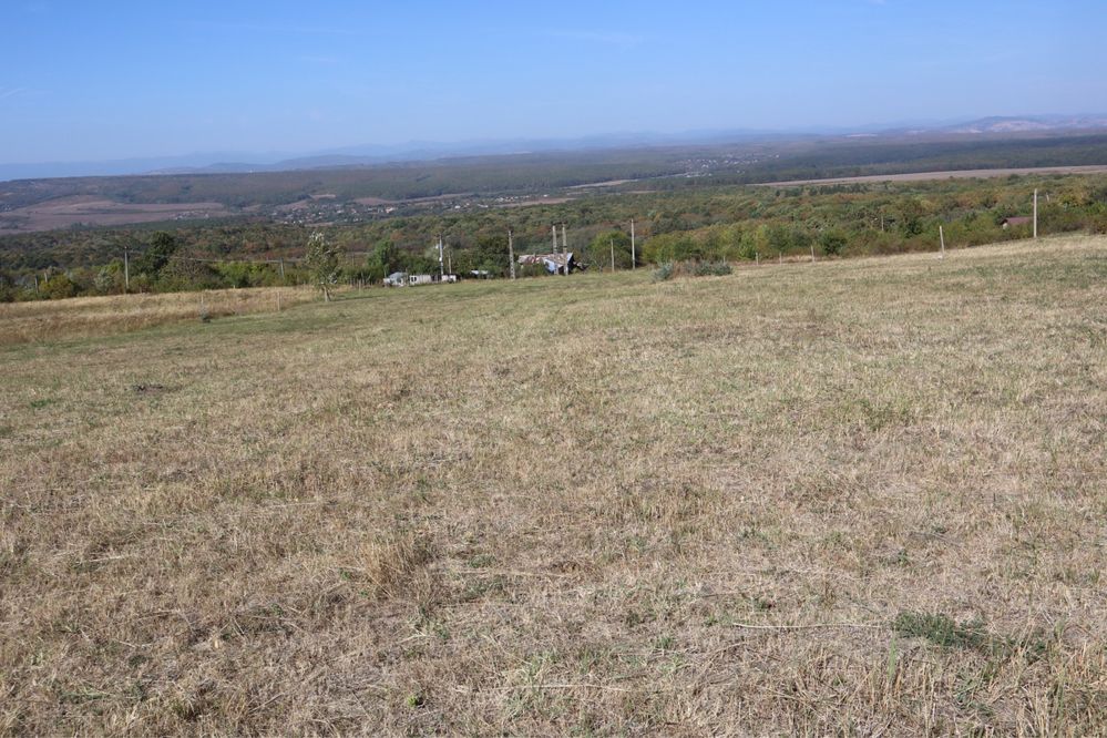 Teren Intravilan pe Drumul Vinului cu vedere panoramica