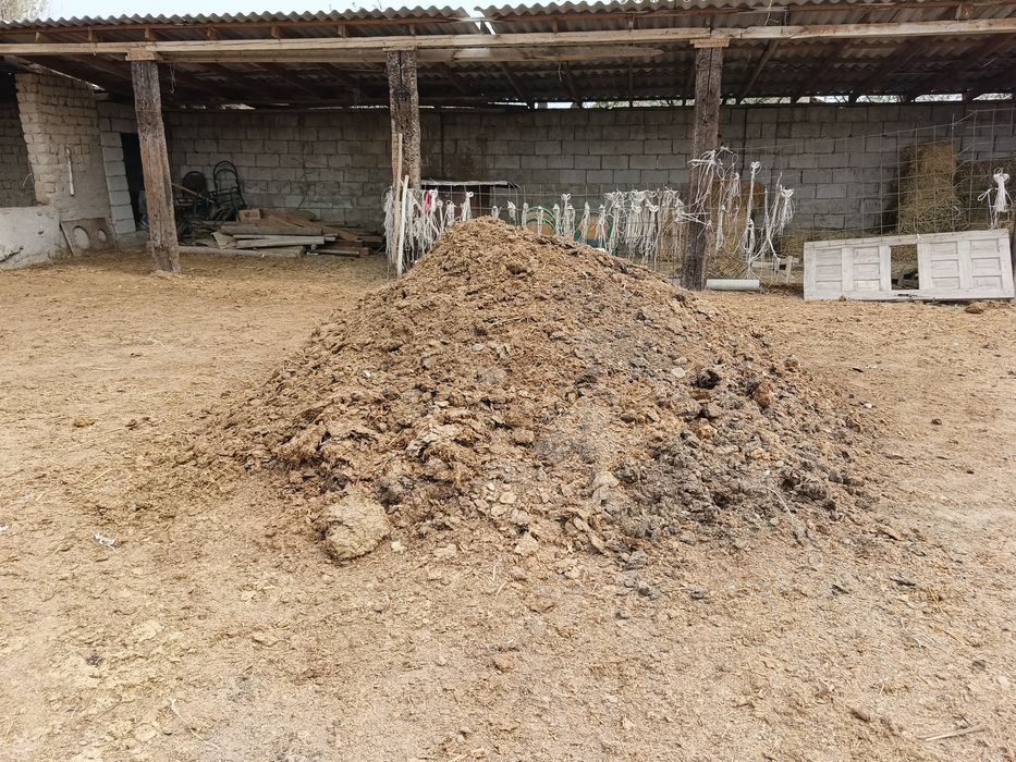 Навоз тегін  беріледі