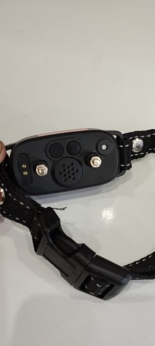 Каишка против лай