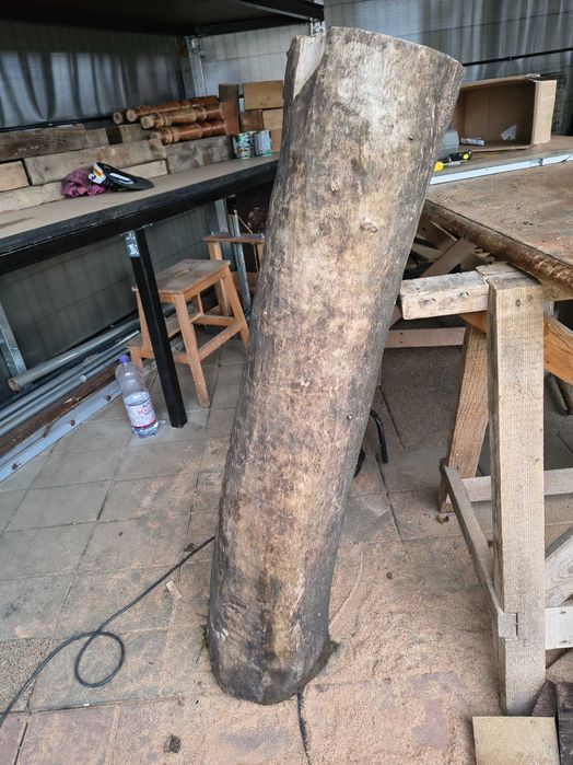 Trunchi de nuc uscat