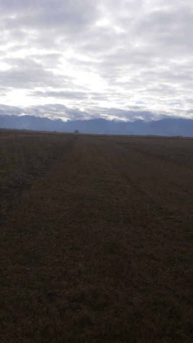 Teren agricol jud Brasov Zona Voila Voivodeni