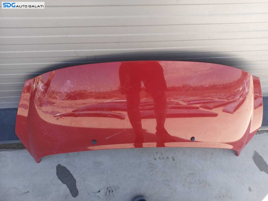 Capota Motor Peugeot 207 2006 - 2014 [L0866]