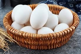 Инкубационные гусиные яйца