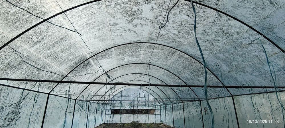 1 sotixli issiqxona (парник)sotiladi.‼️