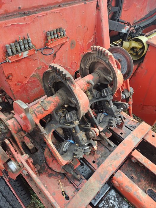 Vând sau schimb cu vitei