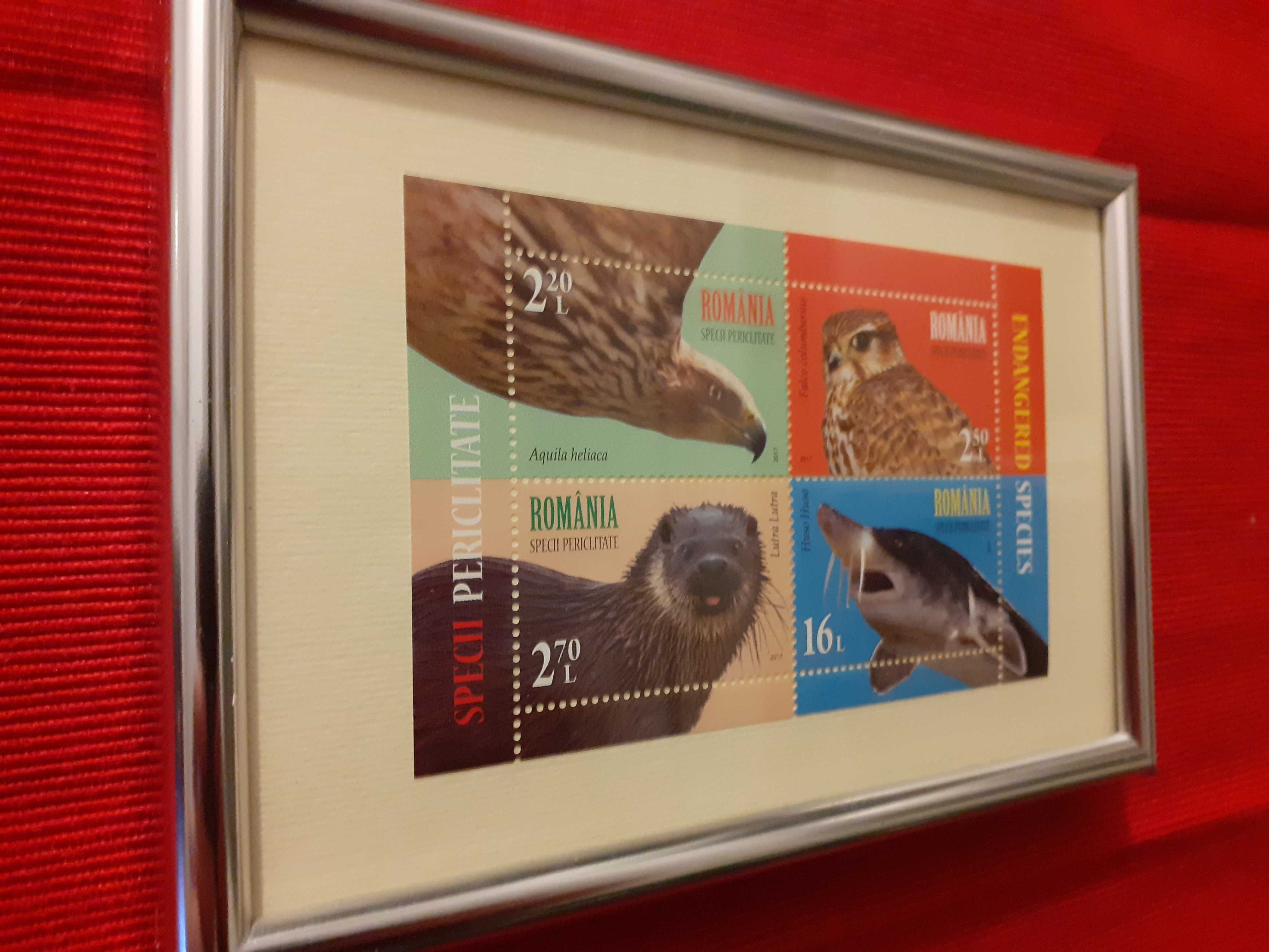 Tablou timbre de colecție "Fauna - Specii periclitate", 2017